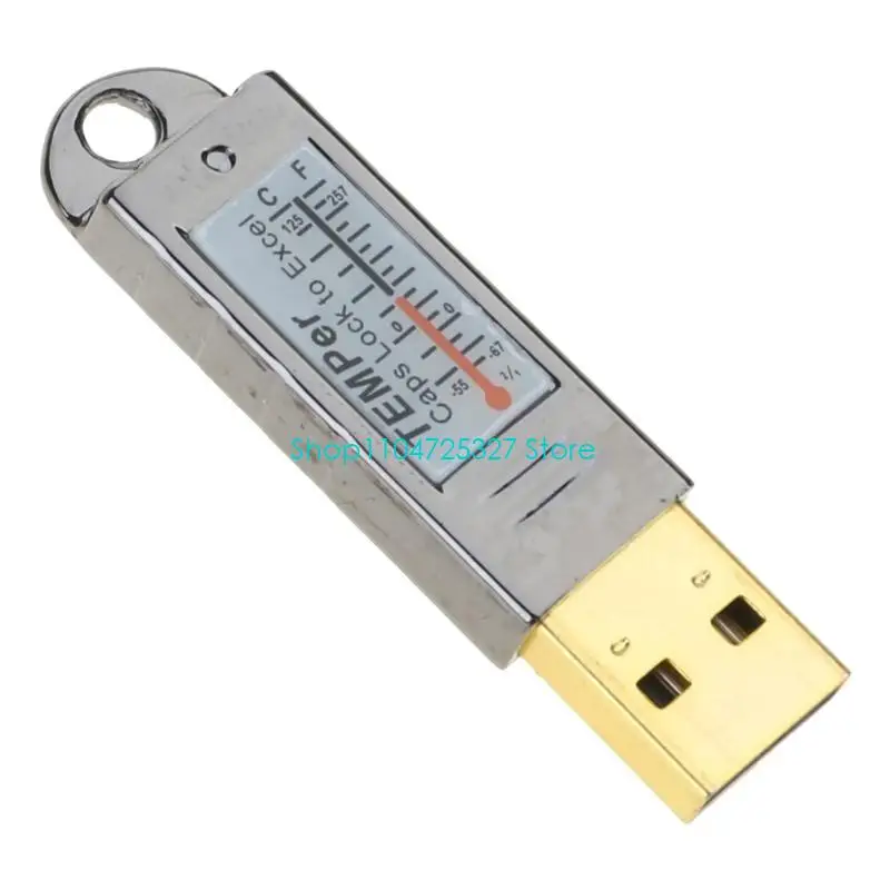 Thermomètre mesure température température du bûcher