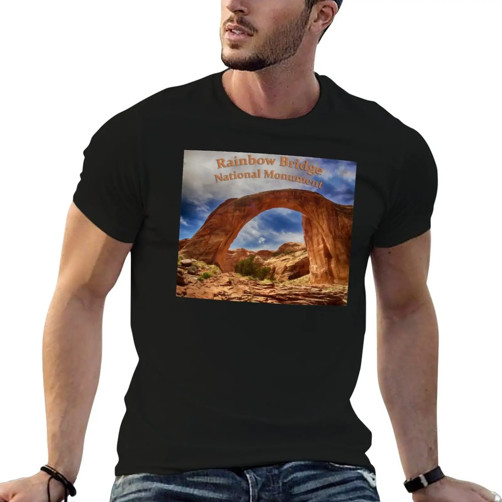 Bridge man man t tshirt National T-Shirt graphic Rainbow shirt Monument