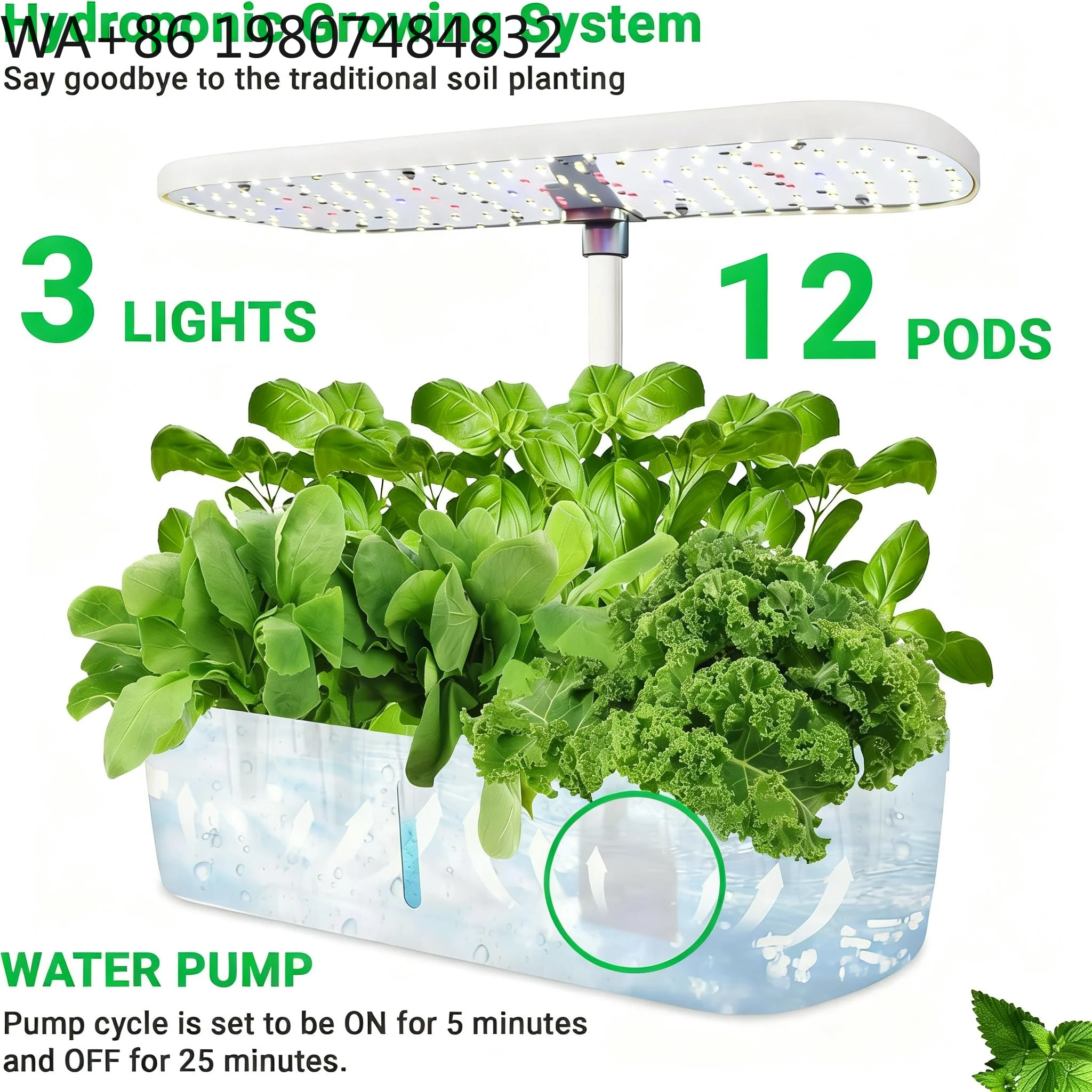 12 Bölmeli Topraksız Yetiştirm - Hydroponic Grow Pod incelemesi ve fiyatı