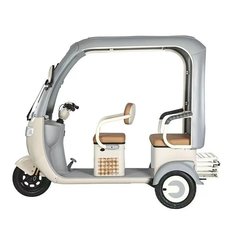 Recreational electric tricycle with shed, pick-up and drop-off child car, elderly scooter