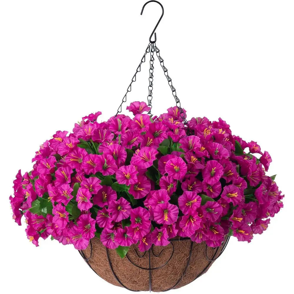 Macetas Colgantes para Exteriores, Patio, Jardín, Porche, Balcón y Terraza con Flores de Petunia y Gloría de la Mañana (Fucsia)