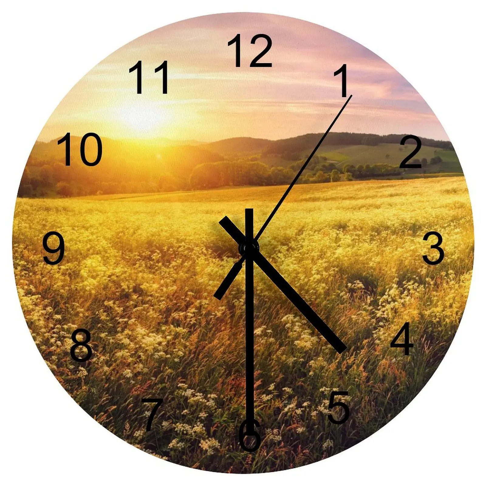 

Indoor Wall Clock nature flower Clocks 12 inch Mute Fashion Round 3D Display DIY Theme Vintage