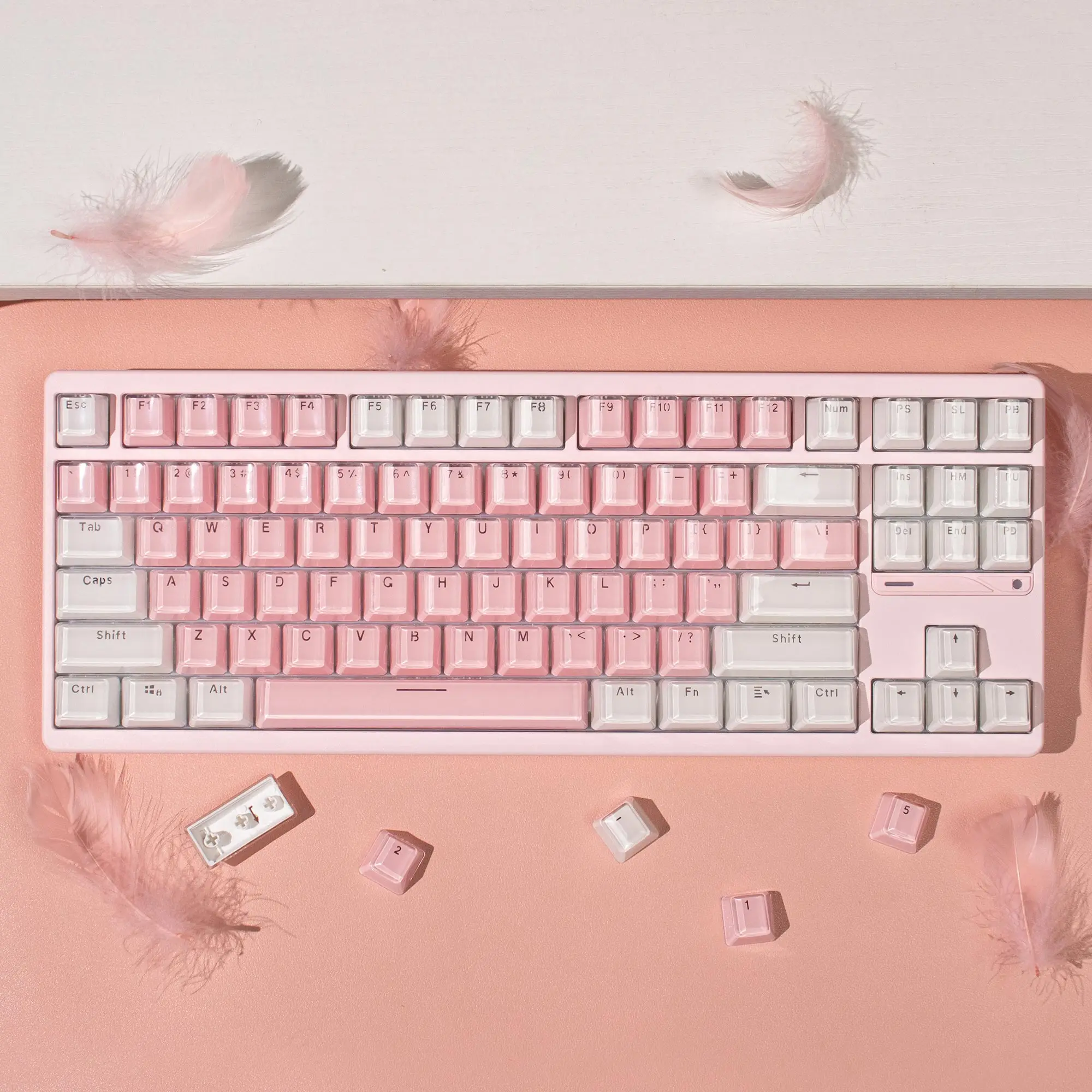 104 keys Jelly Round White Pink Translucent Keycaps OEM Profile Double Shot Keycaps for Cherry MX 61 68 104 Mechanical Keyboard