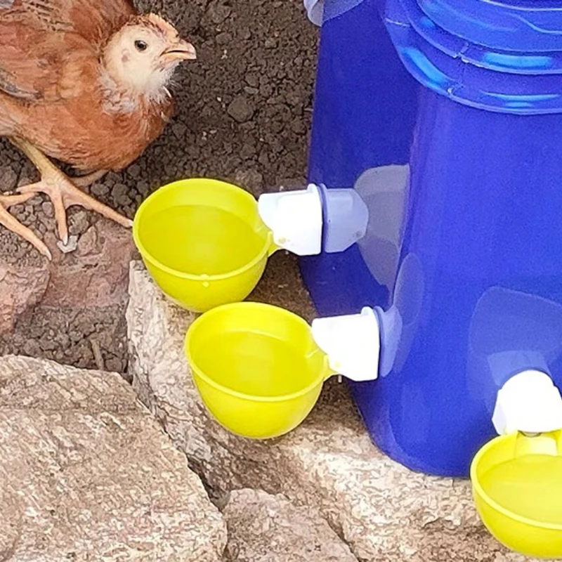 Fully Automatic Chicken Water Dispenser, Duck and Goose Water Cup Kit, Poultry Water Dispenser