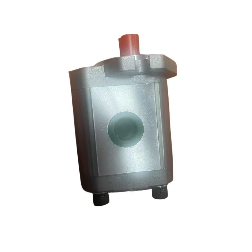 P225RP01DD, P222RP01DF, P233RP01DF, P214RP01DD, Gear pump