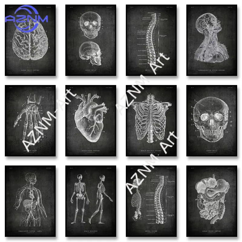 1PC ，Chalkboard Anatomy Canvas Painting Spinal Column Anatomy Poster Human Heart Print Wall Art Picture for Home Decoration