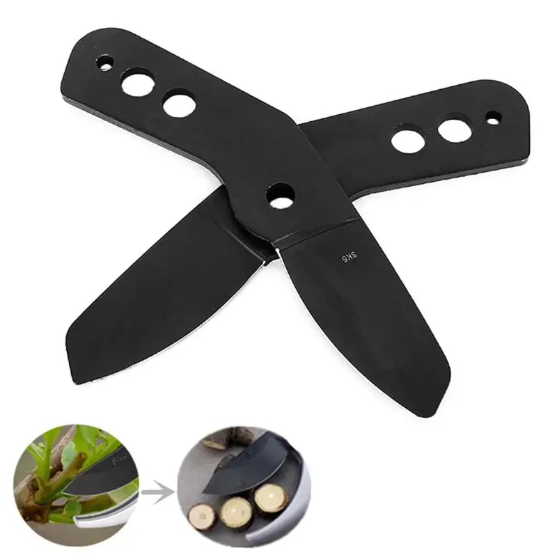 E15d Рейбпрунинг Сдвиг садовод