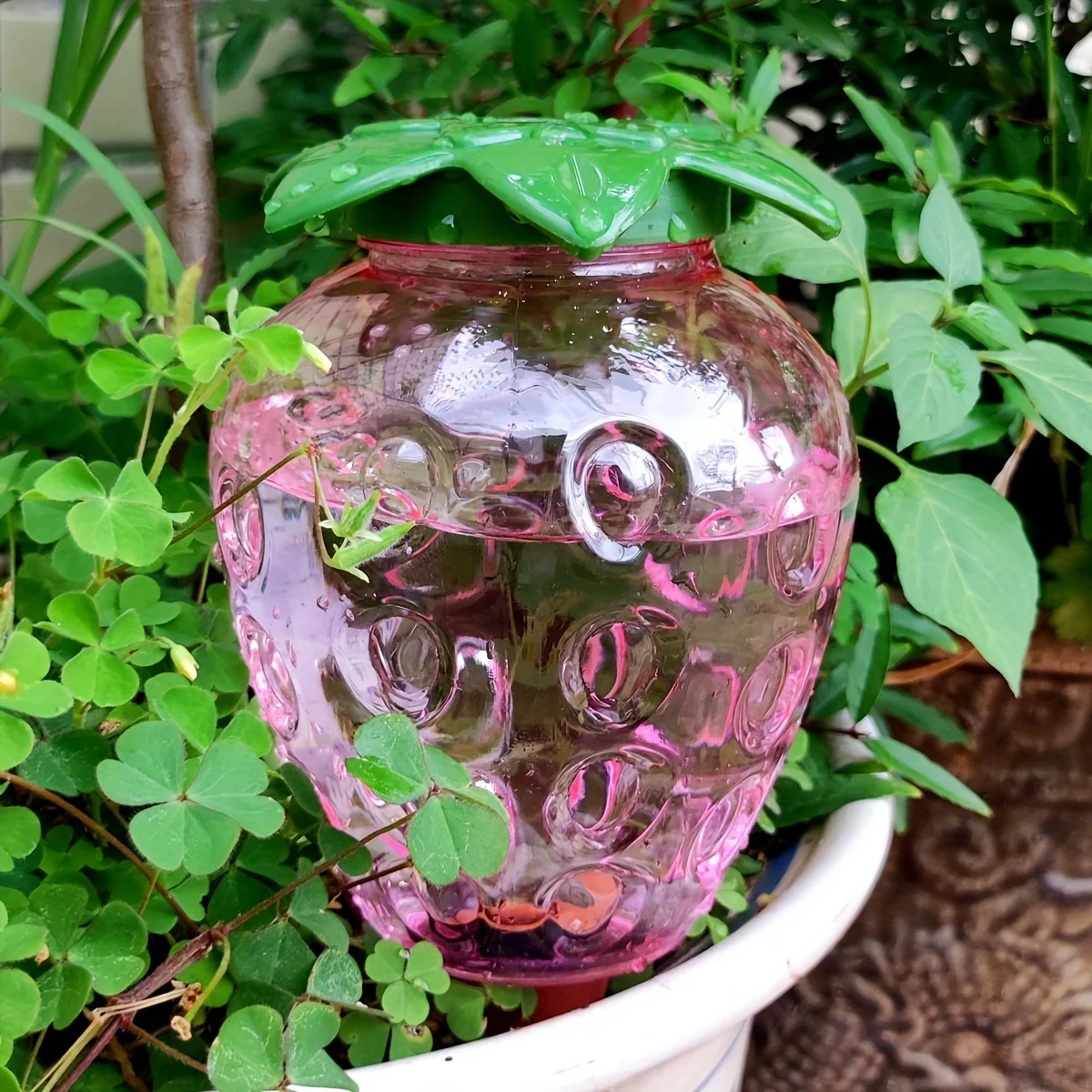 نظام ري بالتنقيط أوتوماتيكي دا - مراجعة Gardening Tools For Home وسعره