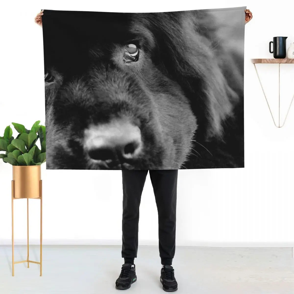 Macie Throw Blanket Easy Care Comfortable Blanket for Couch