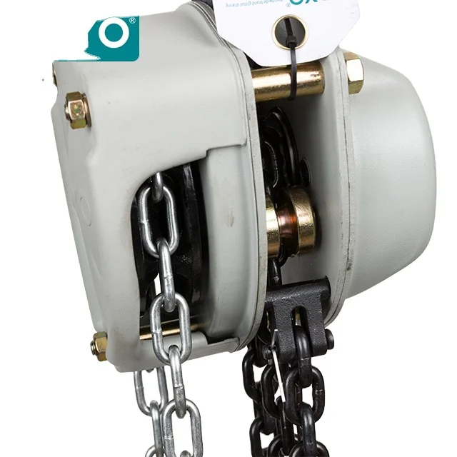 Toyo CA Heavy Duty Chain Pully Block Manual Good Price 1Ton 6 Meter Chain Block Home Use Machinery Repair Shops