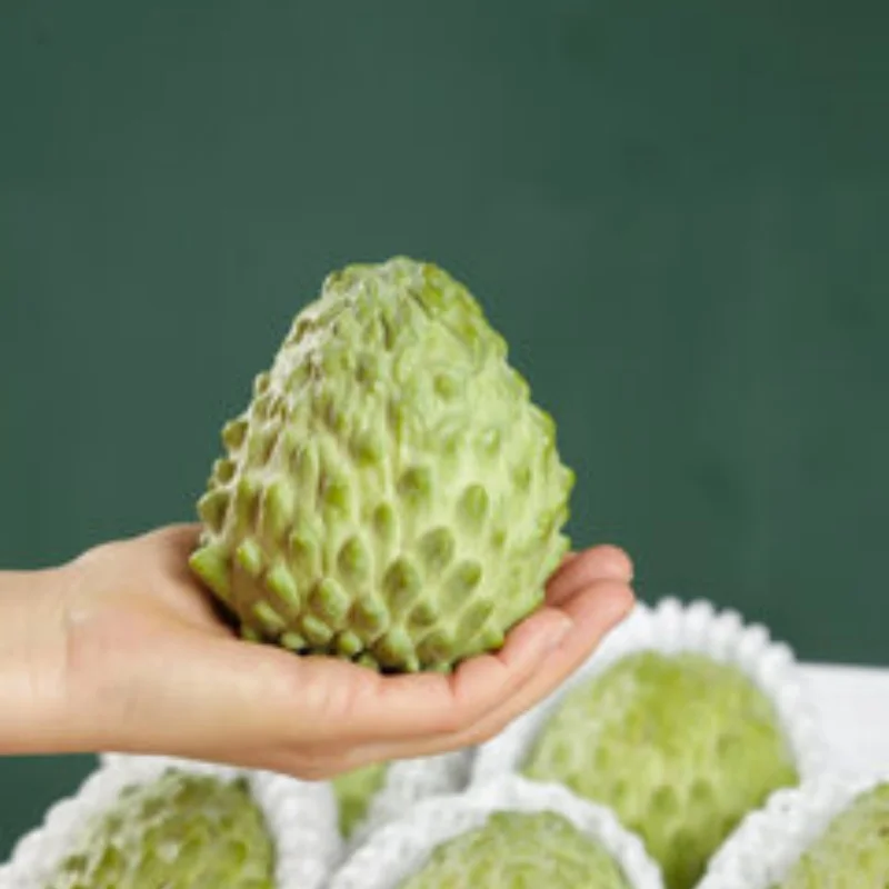 

Carbon Fiber Front Rear Universal Guard Plate for Losi LMT 4WD Solid Axle Monster Truck 1/8 RC Car Upgrade Parts Accessories