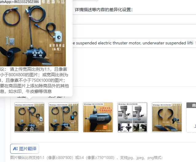 Marine outboard engine suspended electric thruster motor, underwater suspended lifting thruster brushless motor