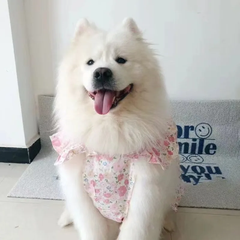 Princess Wind Floral Dress Large Dog Dog Summer Thin Clothes