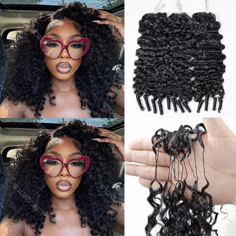 Burmese Curly Feath…