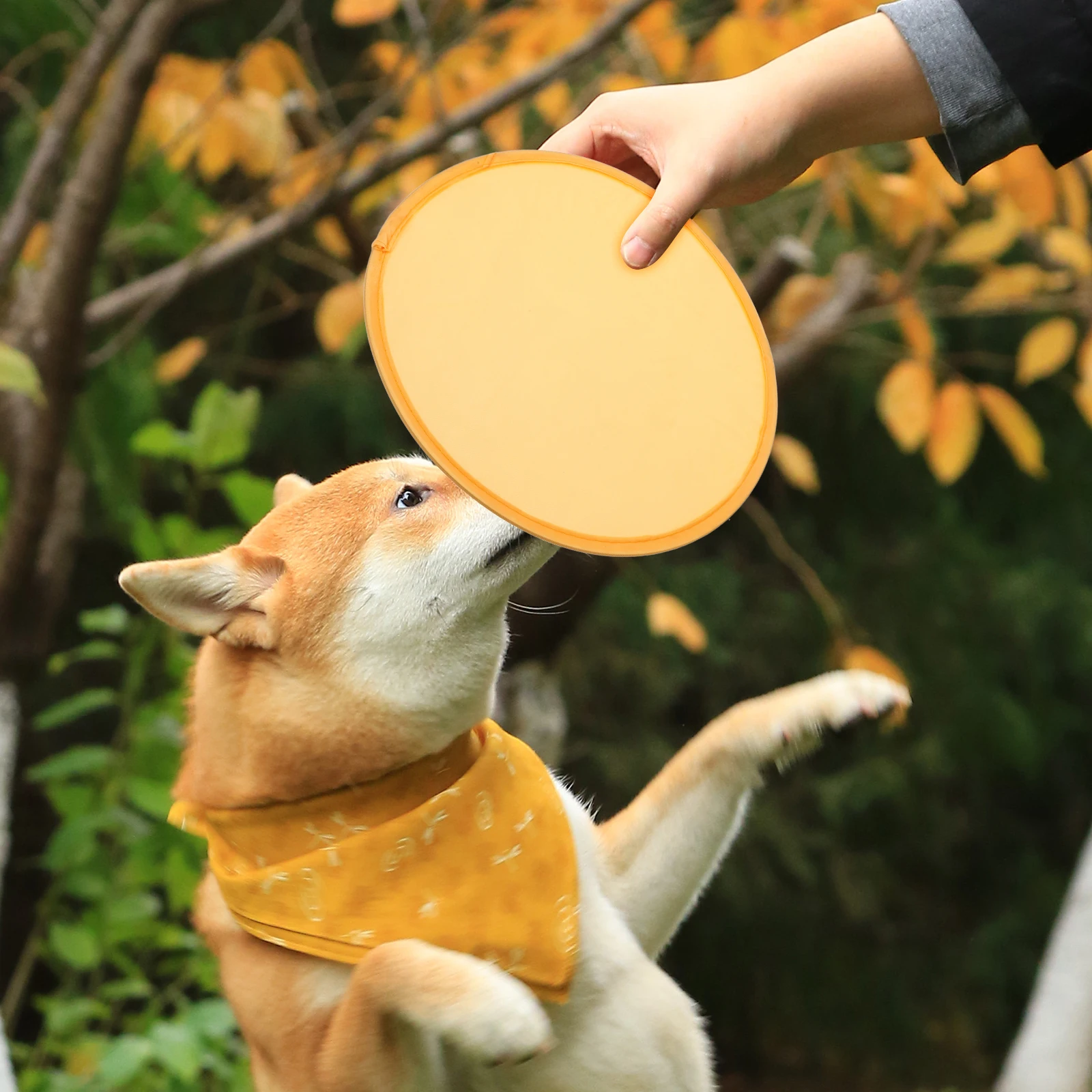 

24 Pcs Outdoor Round Fan Child Toy Foldable Flying Polyester Disc Discs for Kids