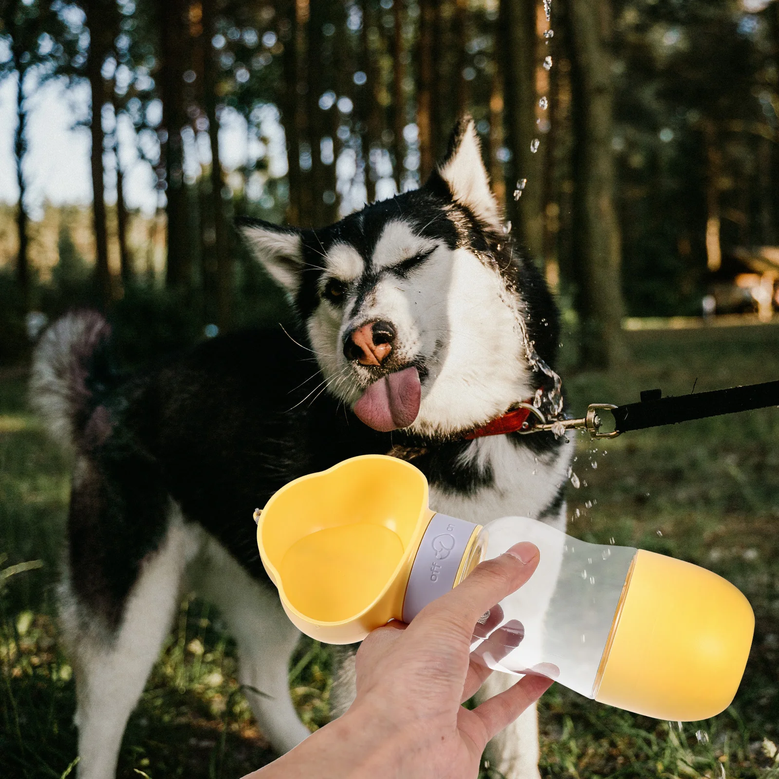 

Adorable Pet Portable Bottle for Dogs Cats Rabbits Leakproof Travel Accessory Puppy Dispenser Outdoor Hiking for Dogs