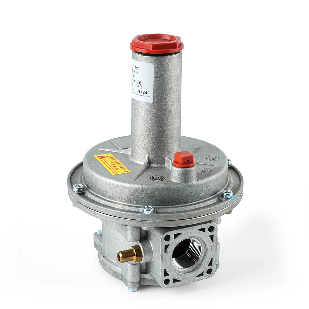2 bar adjustable gas regulator (gas pressure regulator) natural gas regulator