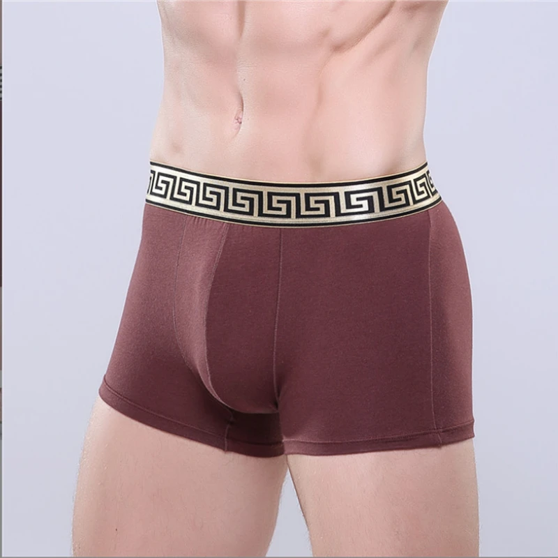 Retail Men\'s Cotton Underwear New Pure Cotton Fabric Trendy Boxers Boxer Shorts High-End Hot Men Underwear Sexy