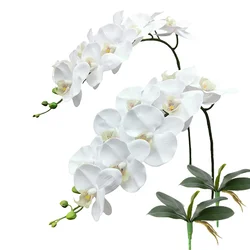 Ramos de flores artificiales de Phalaenopsis de 69cm, tallos de orquídeas de imitación de tacto Real para arreglo Floral, decoración del hogar para fiesta de boda