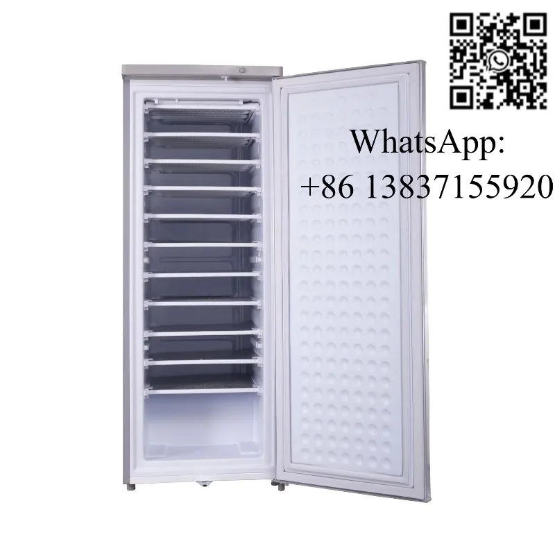 Custom Ice Block Upright Freezer Solar Powered Deep Freezer Fridge Commercial Solar Panel Gel Battery Solar Ice Maker
