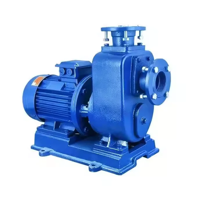 I produttori di pompe a prezzo di fabbrica possono estrarre sedimenti e impurità di scarico Pompa per piscina con pompa a vuoto con valore ZW