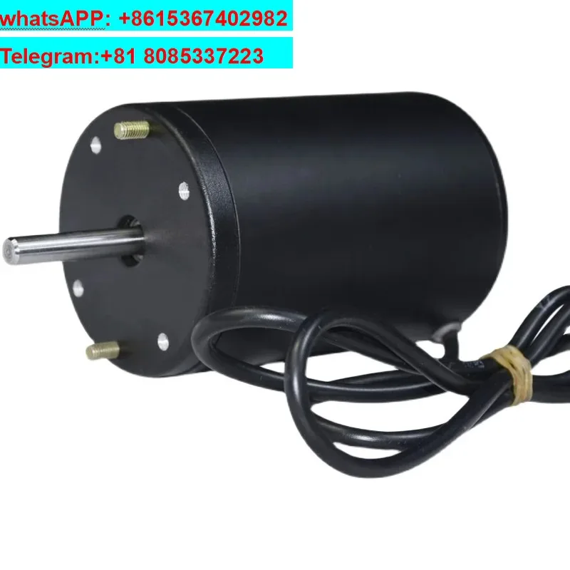 12-24V300W double bearing positive and negative carbon brush DC generator wind hydraulic hand high power motor