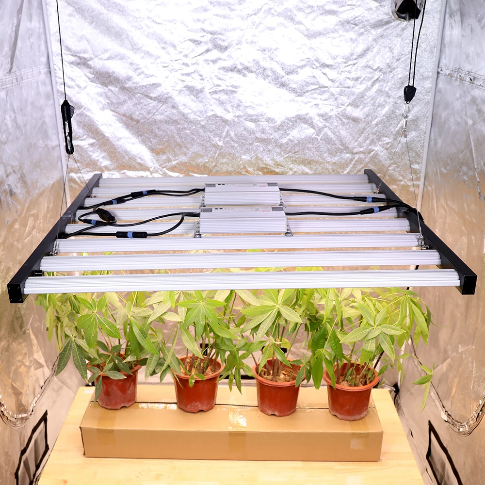 Pelizon High 2.9Umol/J PPE شري - مراجعة Led Grow Light 1000W Full Spectrum وسعره