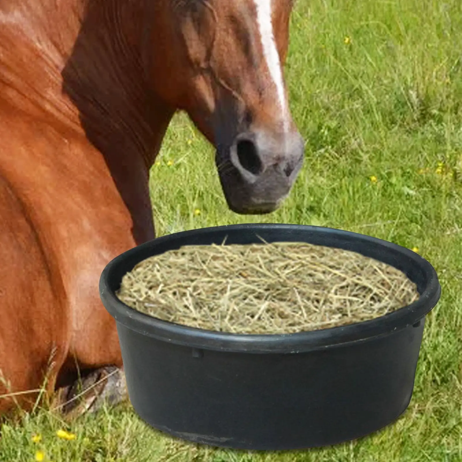 تغذية المقالي 4L البلاستيك الحصان المغذية الكلب السلطانية خنزير المغذية الماعز الدجاج السماد حمام الحاويات كبيرة فائدة تغذية دلو تغذية عموم