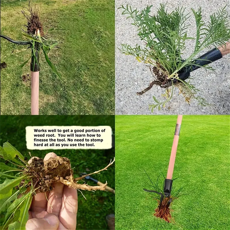 Imagem -04 - Stand up Aluminum Alloy Weed Extrator Garra Manual Weeding Cabeça Substituição Jardim Escavação Grama pá Ferramenta Root Remover Acessório