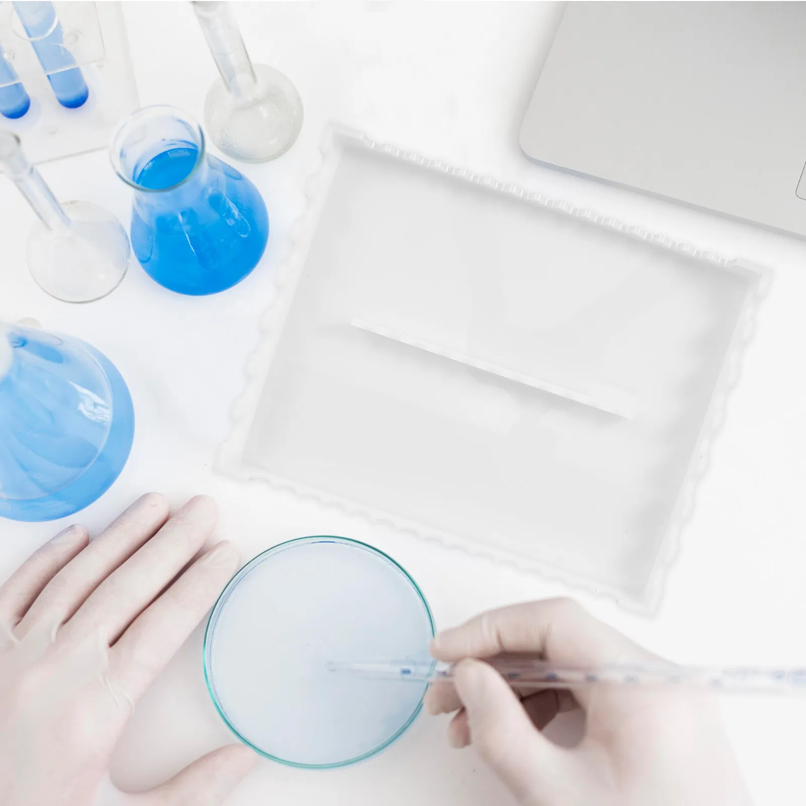 Laboratory Pipette Stand Acrylic Pipette Storage Rack for Multiple Pipettes Compact Design Space Saving Lab Tool Experiment