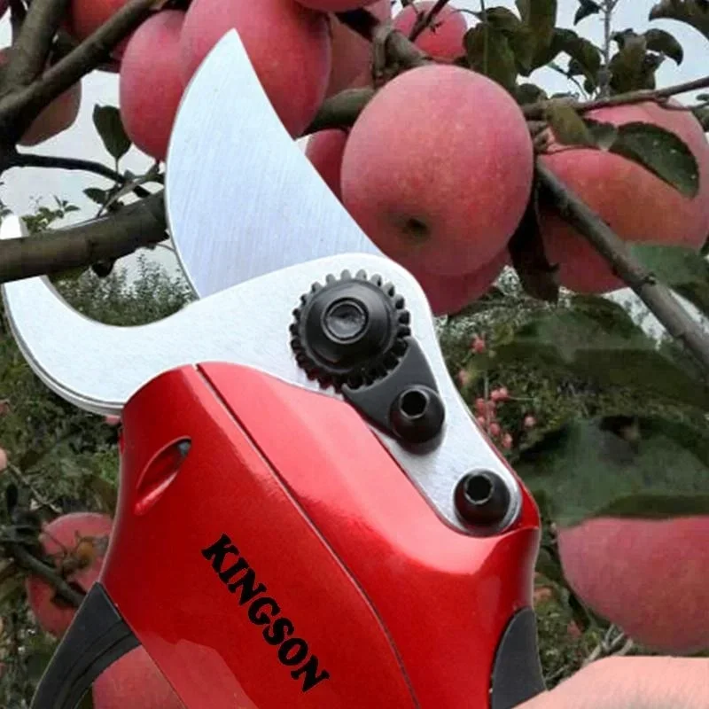 2018 Popular CE Certificate Vineyard Electric Secateurs