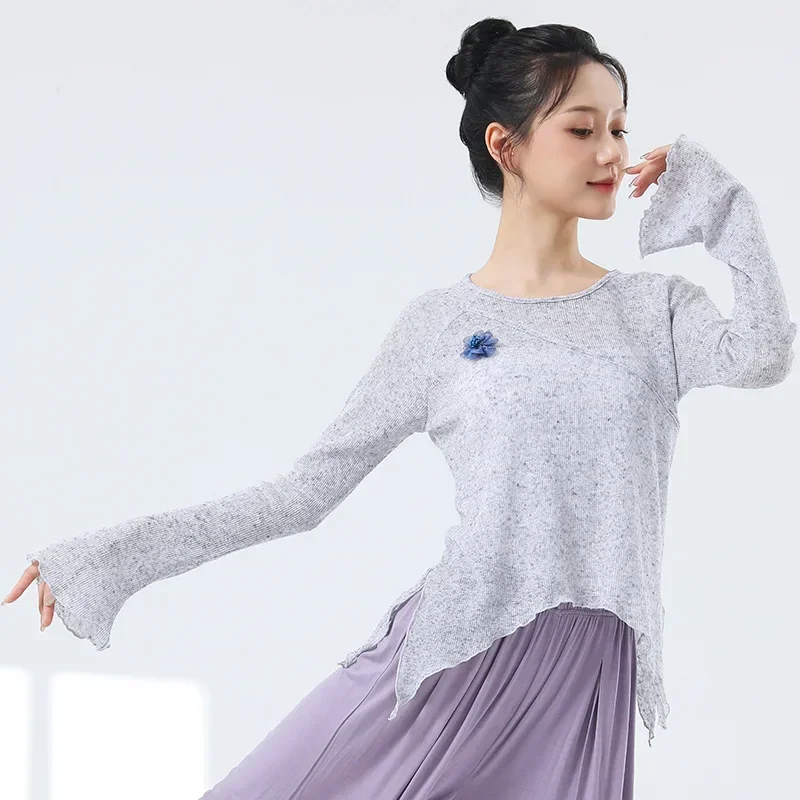 Practice clothes women's new adult self-cultivation daily training performance clothes Chinese dance classical dance tops