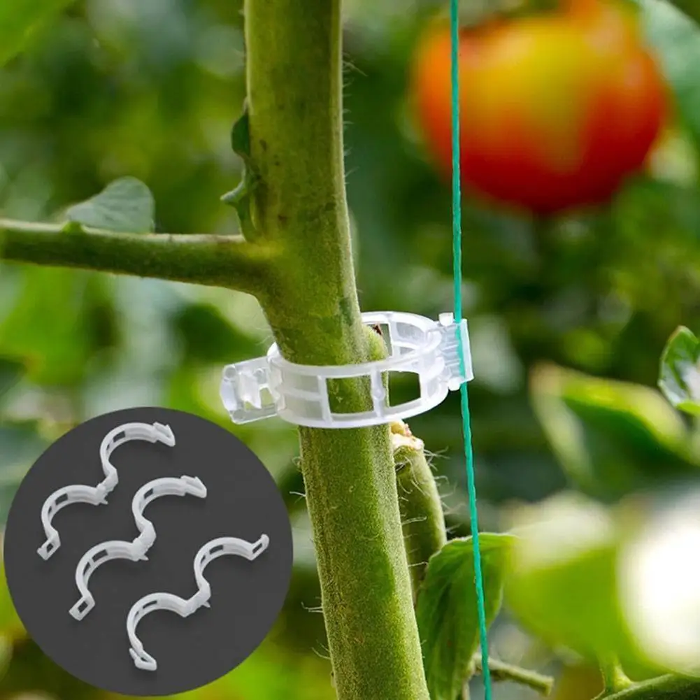 50/30PC Plant Clips Supports Reusable Plastic Connects Fixing Vine Tomato Stem Grafting Vegetable Plants Orchard and Garden Tool