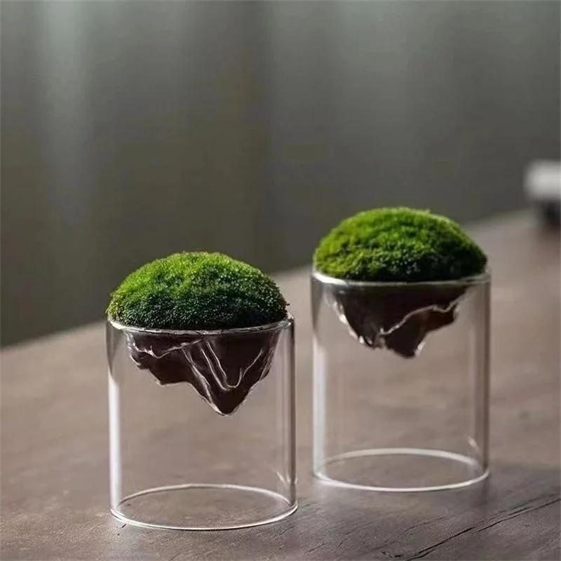 Creative Mountain Shaped Moss Glass Bottle Moss Vase Hydroponic Fleshy Micro Landscape Glass Terrarium Bonsai Home Decor