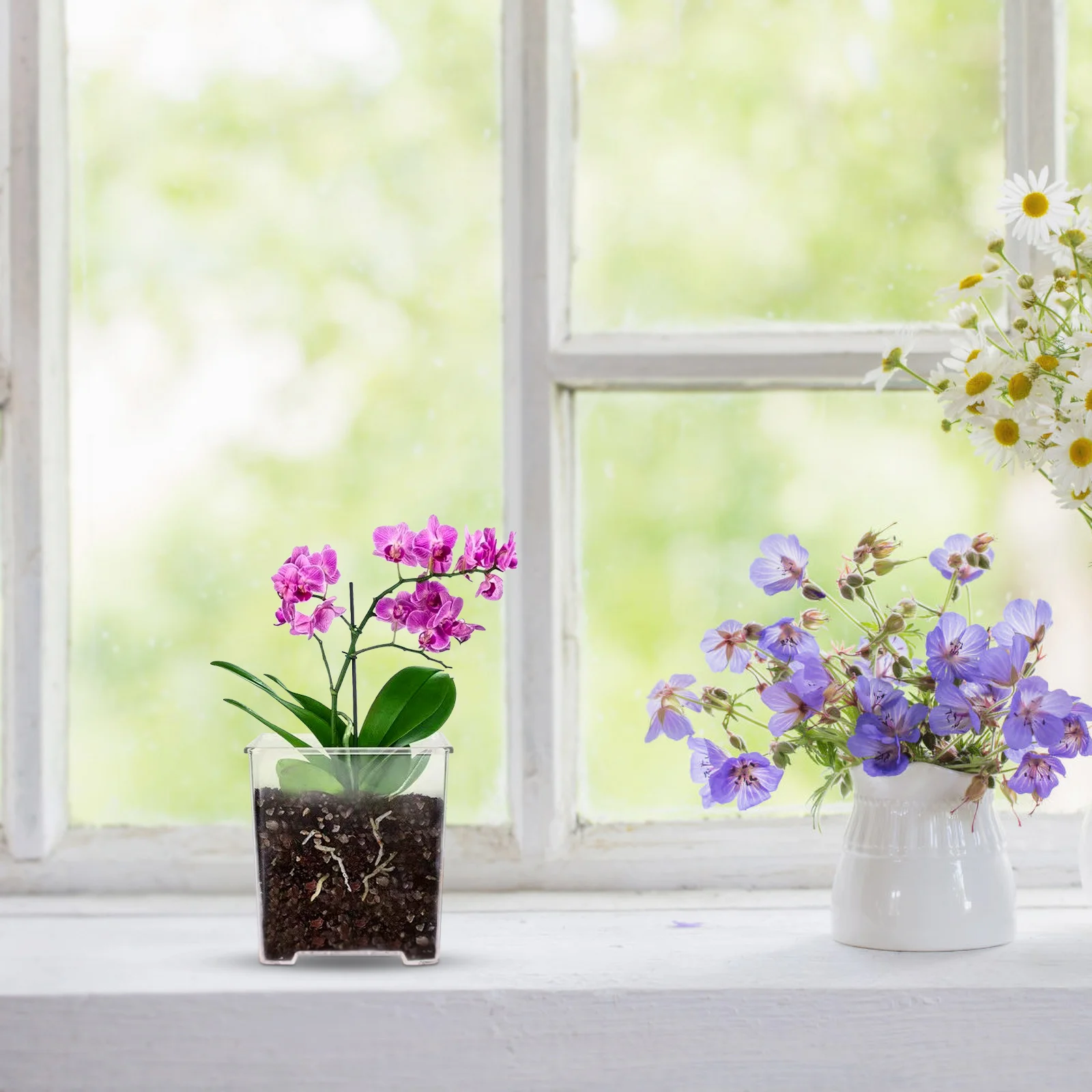 

5Pcs Acrylic Orchid Flower Pots Clear Planters Drainage Vents for Plant Nursery Healthy Root Development Acrylic Orchid Pot