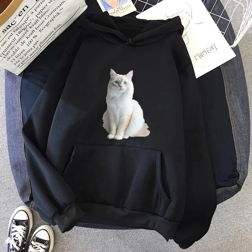 2024 New Men's Hooded Cute Cat Graphics Communication Long-Sleeved Hoodie Sweatshirts Loose Casual Harajuku Pullover Sportwear