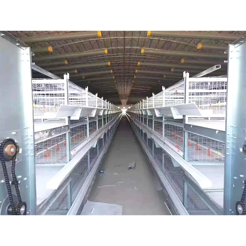 Fully Automatic  4-Layer Chicken Cage 4 Tiers Cage Bird Cages Chicken Coop for Chicken Farm
