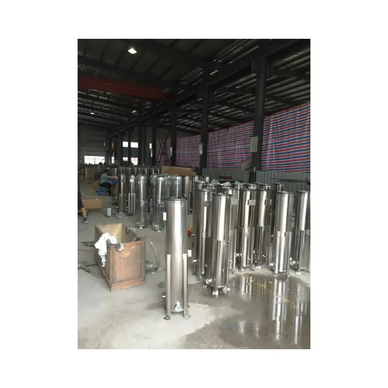 

304 Stainless Steel - 1-200 Cubic/hour Drinking Water Production Industry Food-grade Filter for Hygiene Purposes