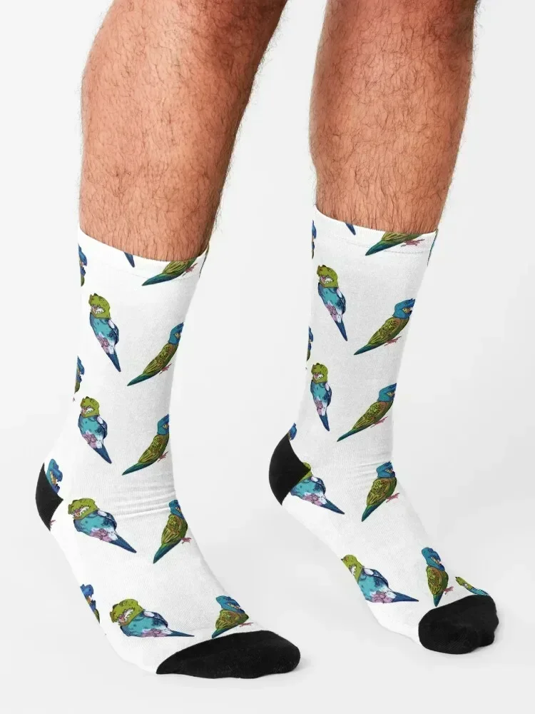 Dinosaur Budgies Socks Running basketball colored retro Socks For Men Women's