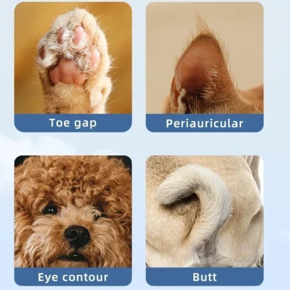 Led Light Dog Paw T…