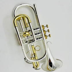 Professional Silver and Gold Plated Cornet horn B-flat Professional Brass Instrument Trumpet With Case Accessories