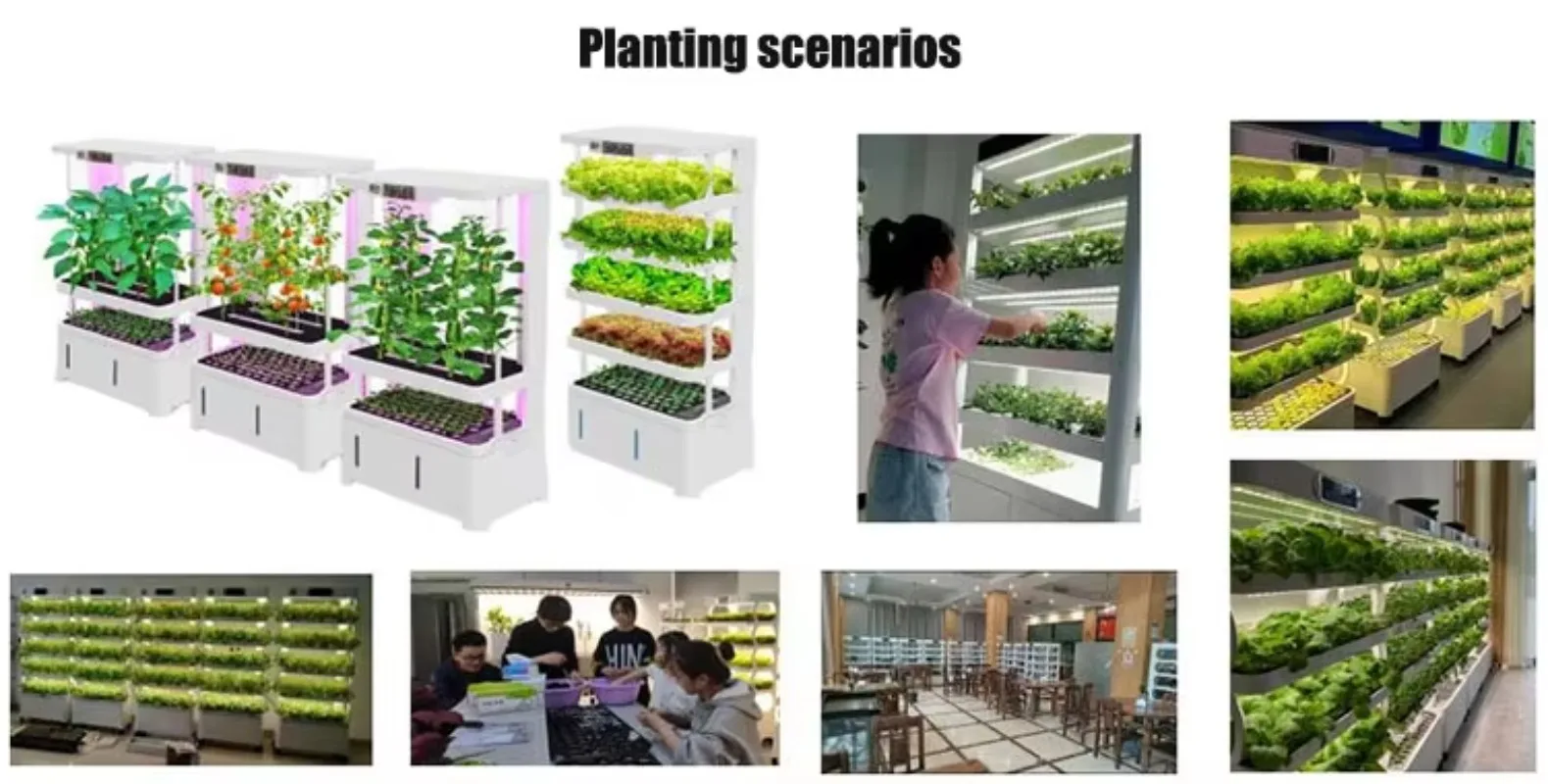 อุปกรณ์ทำฟาร์มไฮโดรโปนิกส์และอควาโปนิกส์อัตโนมัติสำหรับสวนในบ้าน ระบบไฮโดรโปนิกส์แนวตั้งครบวงจรสำหรับปลูกผัก