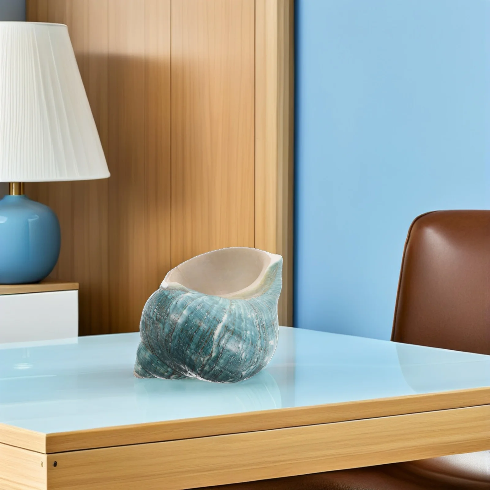 

Unique Conch Shell Specimen Collection Mediterranean Style Seashell for Education Play and Coastal Interior Design