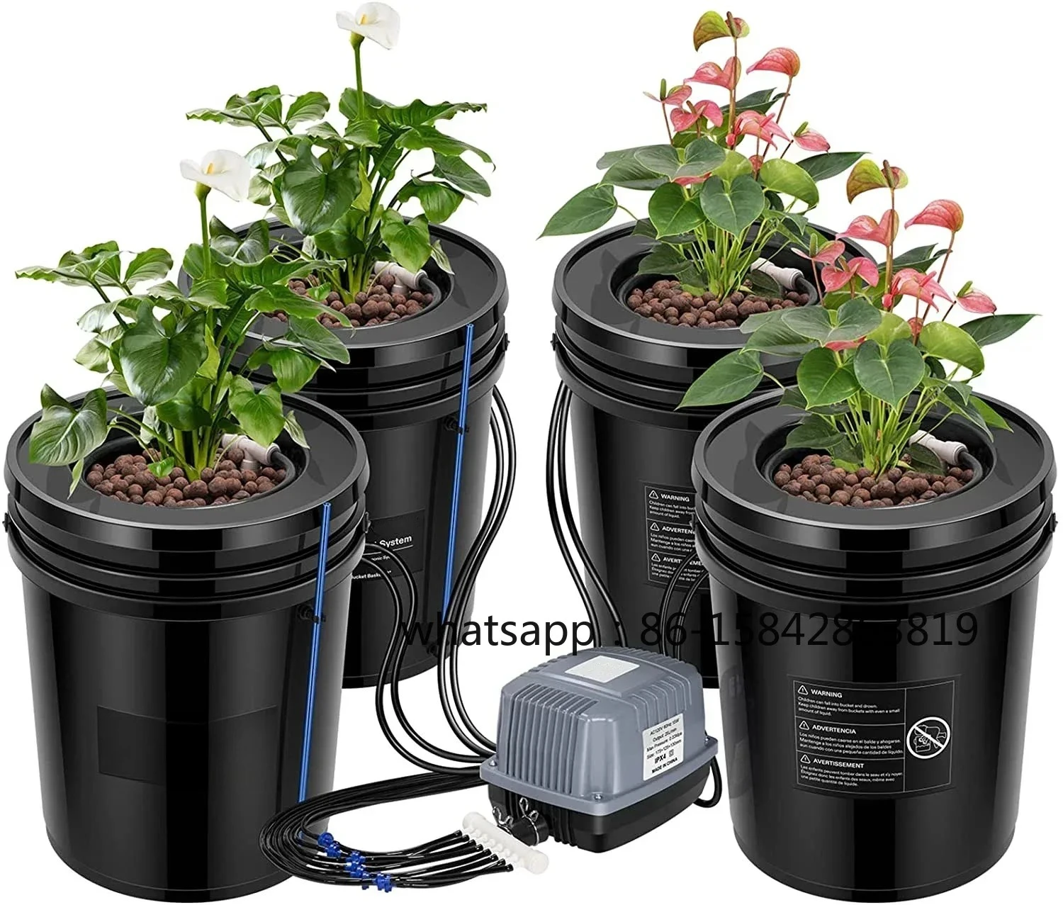 Dwc Bucket System 5 Gallon - نظام زراعة مائي جديد بتقنية Deep