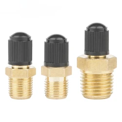 Car Tire Inflating Valve Anti-Corrosion Brass Schrader Valve with Valve Core Air Compressor Tank Fill Valve with Sealing Caps