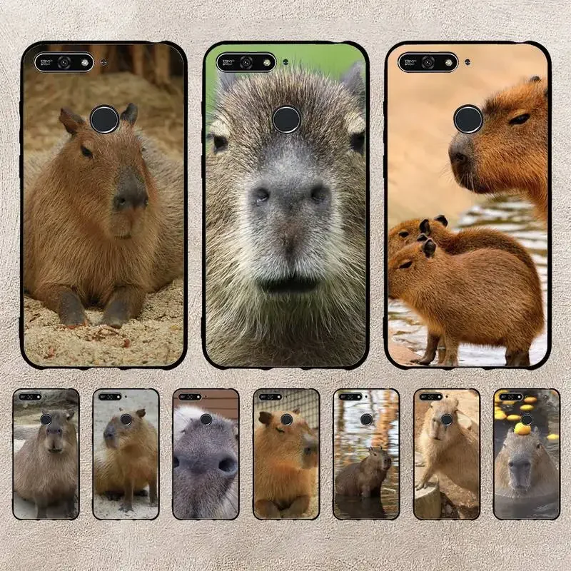 Animal Funny Capybara Bling Phone Case For Xiaomi 11 10 12Spro A2 A2lite A1 9 9SE 8Lite 8explorer F1 Poco 12S Ultra Cover