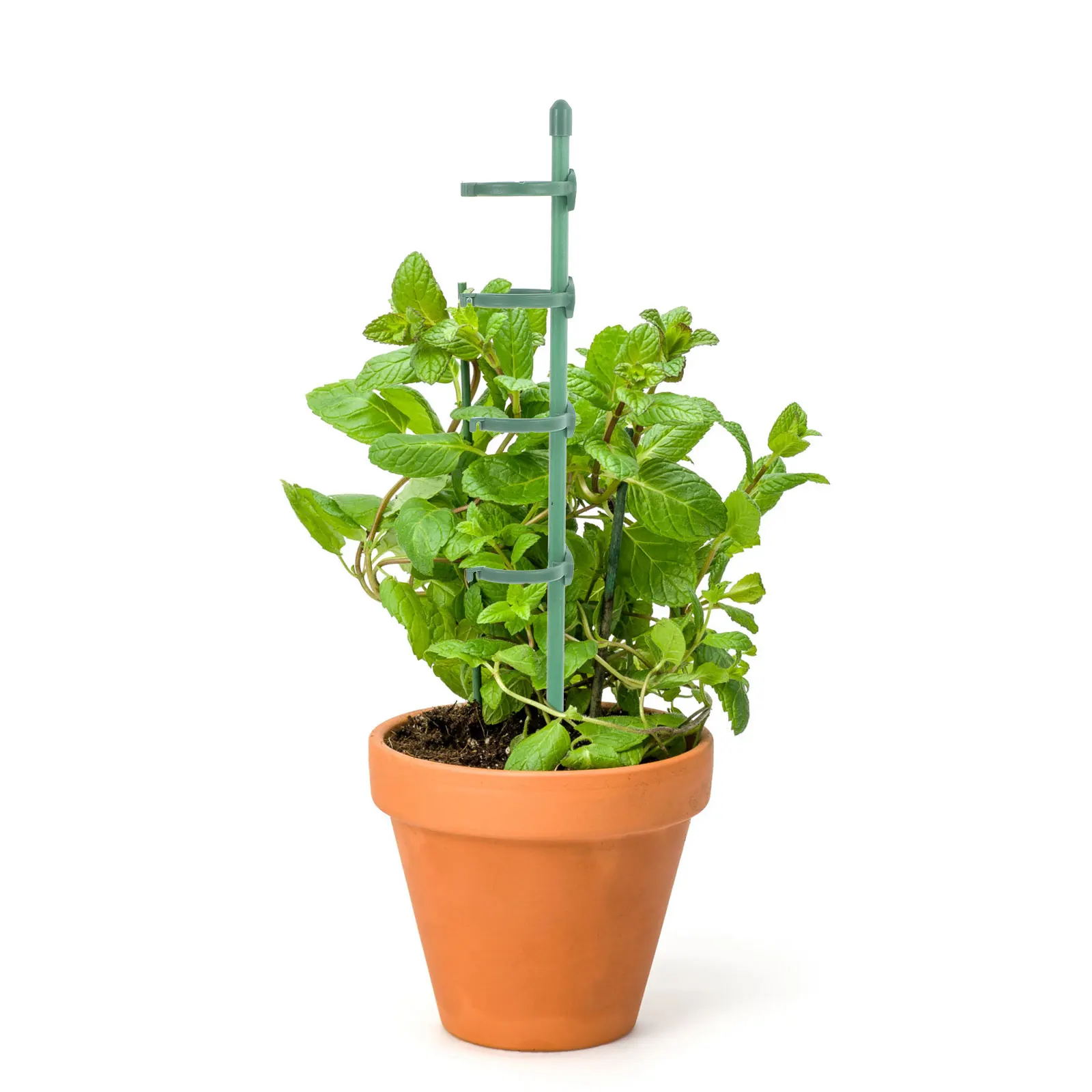 

1 set Flower Support Stakes Plant Climbing Stake Durable Fiberglass Rods Garden Plant Supports for Plants