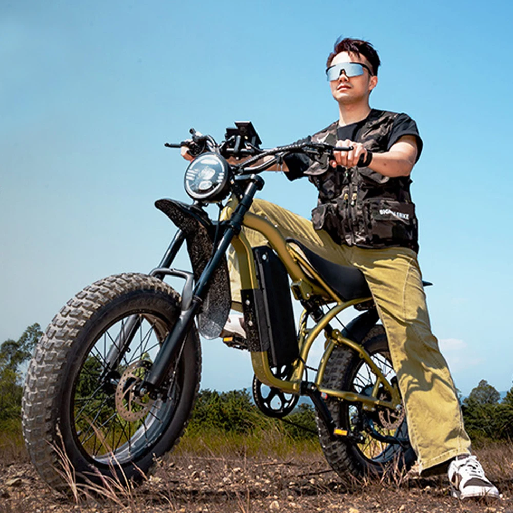 

2025 New H6 Off-Road Electric Bike All-Terrain Durable Aluminum Alloy Electric Bike Disc Adult Fat Tire Mountain Ebike