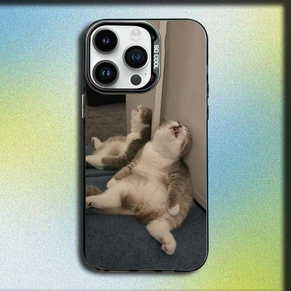 Cute Funny Cat Memes Phone Cas - đánh giá và giá Phone Cases Cat