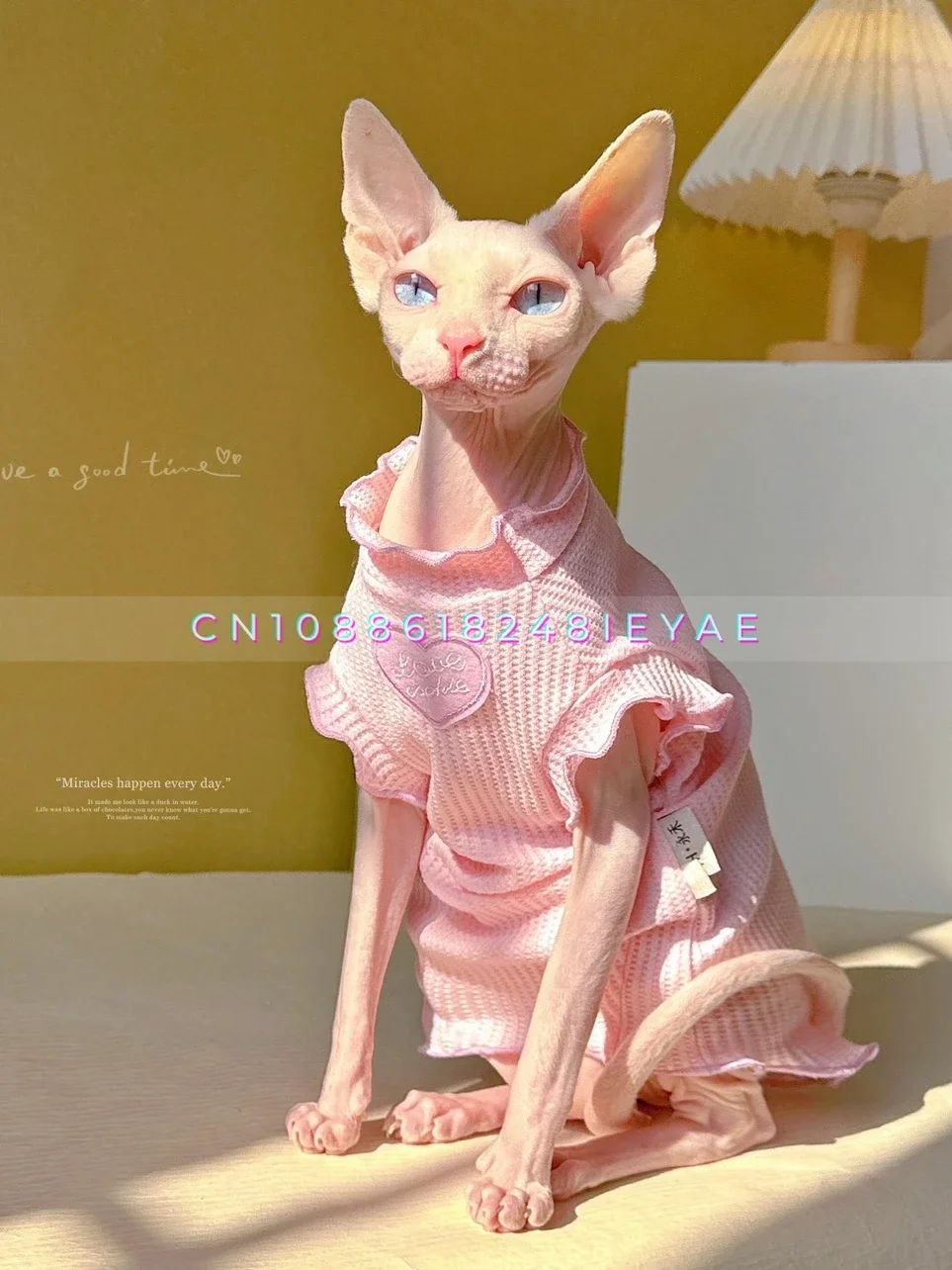 

Sweet Pet Clothes Spring and Summer Sphynx Cat Clothes Ropa Para Gatos Kitten Clothes Cats Acessorios Ropa Gato